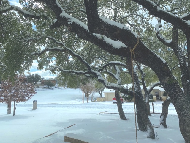 snow in my neighborhood after the snowstorm in Texas